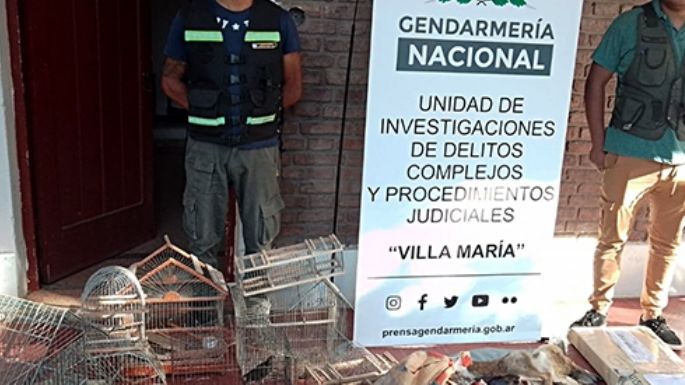 Secuestraron armas y  animales protegidos