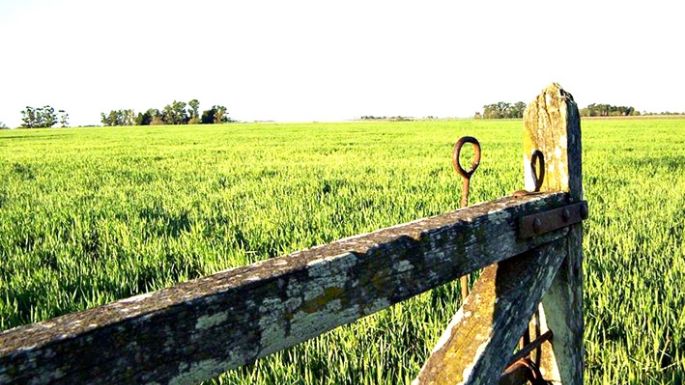 ¿Cuánto valen los campos de la provincia de Córdoba?