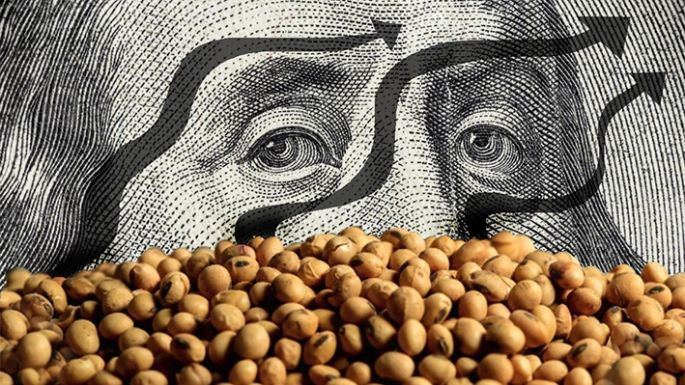 Detallaron los productos alcanzados por el dólar agro