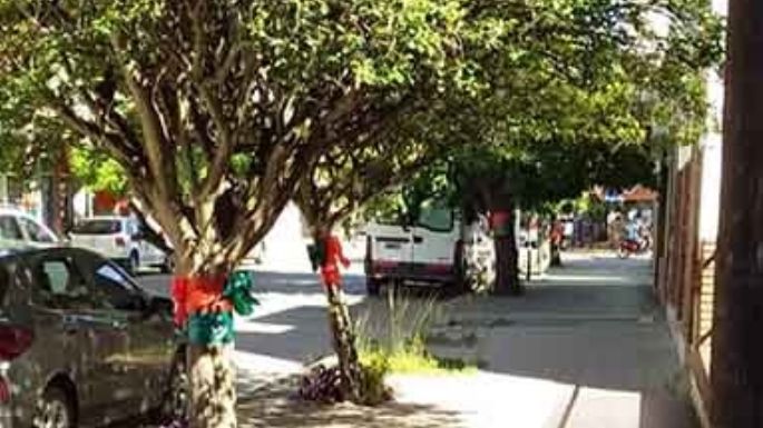 Vecinos del Centro adornaron los árboles y la Navidad ya se siente