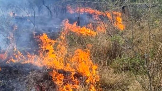 Incendio voraz avanzó sobre Los Molinos