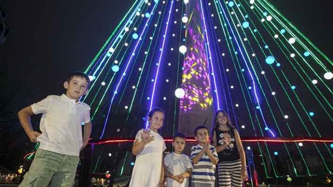 Encienden el árbol gigante
