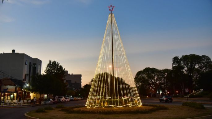 Encendieron el Árbol de Navidad en la costanera local