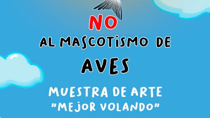 Se inaugura “Mejor volando”