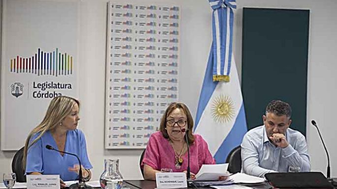 Proponen utilizar los autos secuestrados en las fuerzas armadas y de seguridad