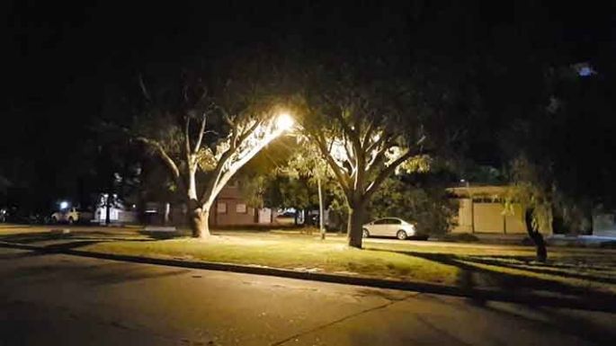 Que los árboles no tapen la luz