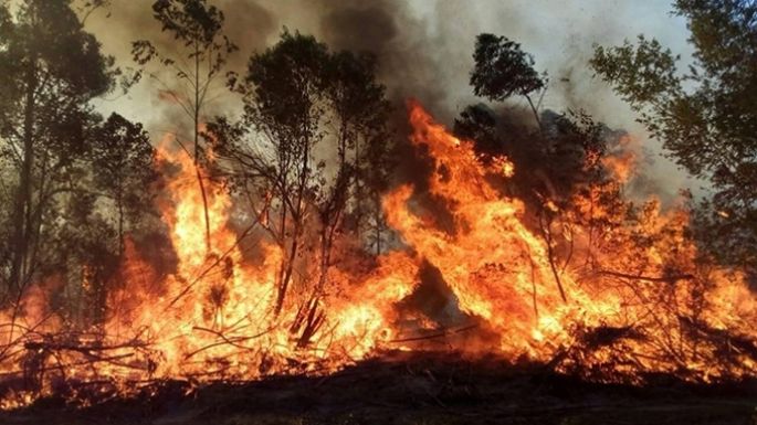 Bomberos de Villa María y la región a Corrientes