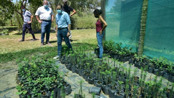 Renuevan las instalaciones del Vivero Municipal