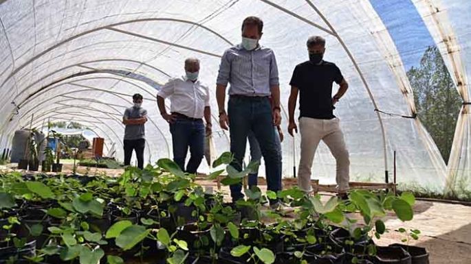 Renuevan las instalaciones del Vivero Municipal