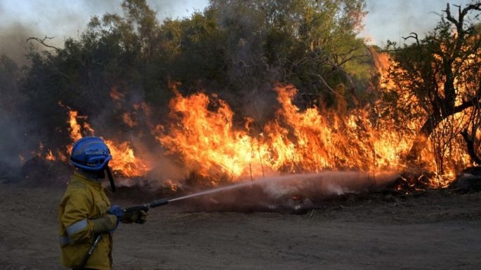Corrientes: al menos 700 mil hectáreas fueron arrasadas por los incendios