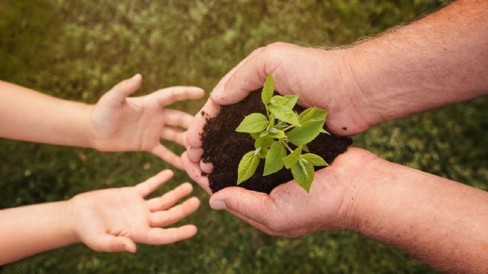 Convocan a concursar por importantes premios con proyectos de Conciencia Ecológica
