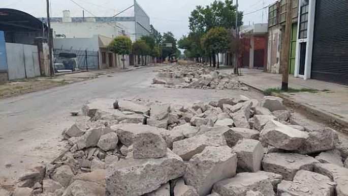 Plantarán 550 árboles en avenidas del acceso norte de la ciudad