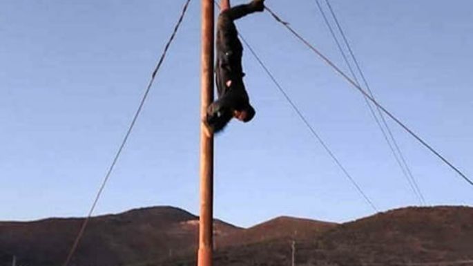Quedó colgado en el poste de la luz
