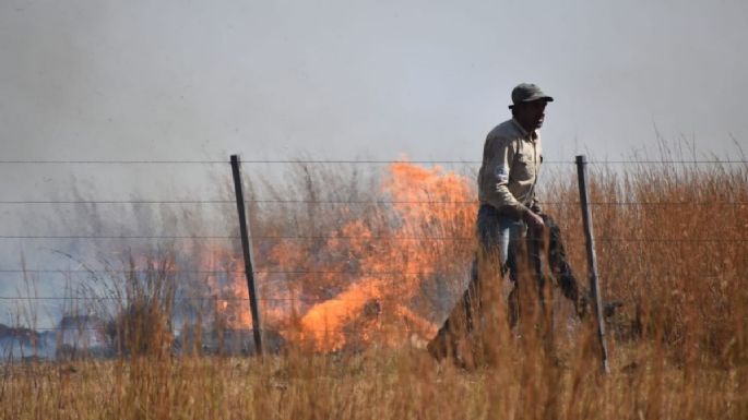 Córdoba elevó un pedido de "desastre agropecuario" por incendios en campos