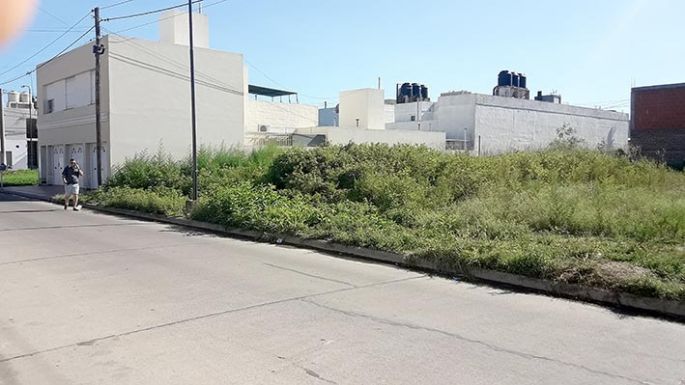 “Cansados de reclamar que limpien los terrenos”