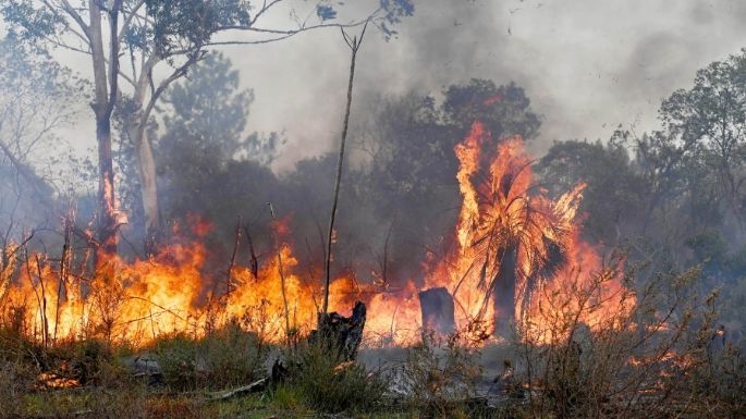 Se reactivaron focos de incendios forestales en Corrientes