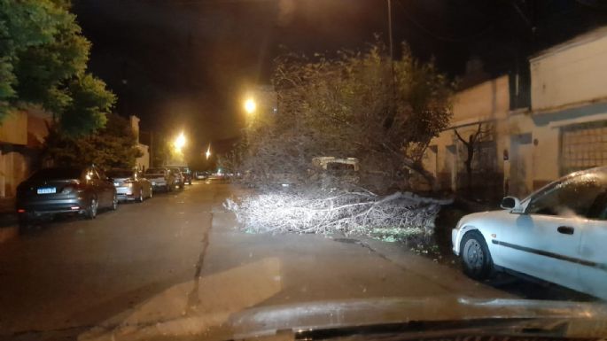 Ráfagas de 70 km y varios árboles caídos tras la tormenta