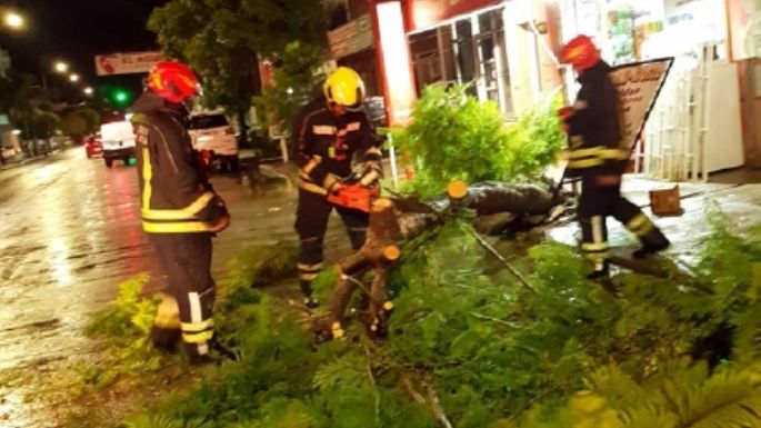 Por la tormenta: muchos daños, sin lesionados
