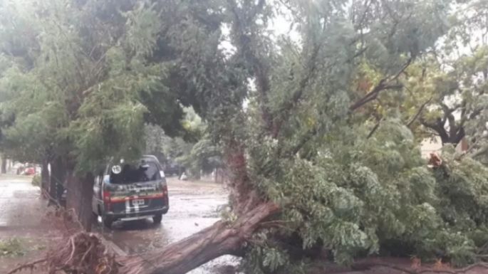 Temporal en Bahía Blanca: evacuados, calles anegadas y voladuras de techo