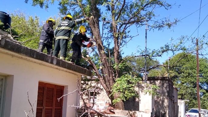 Bomberos limpiaron la ciudad