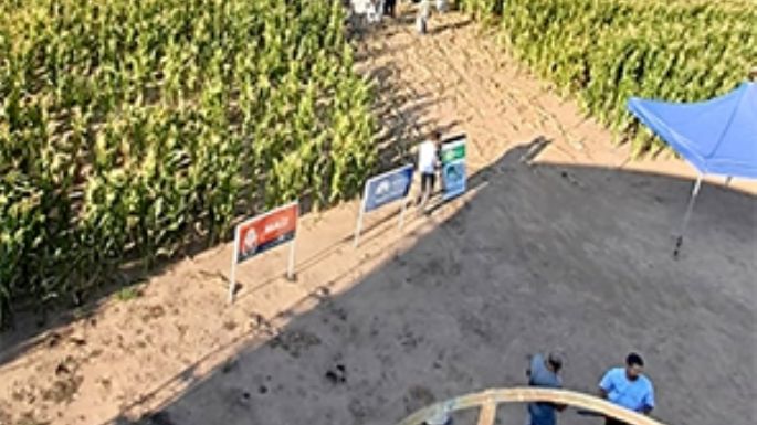 Semillas de desarrollo nacional