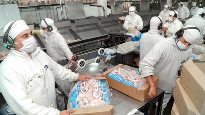 Empleo: el crecimiento, provincia por provincia y rubro por rubro