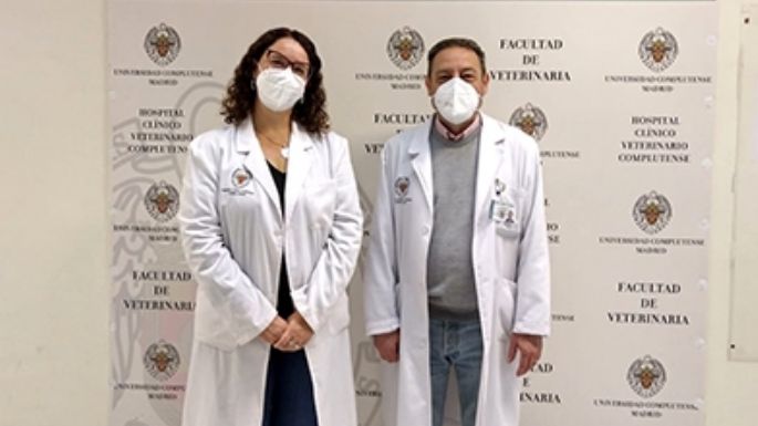 Docente de la UNVM intercambia saberes de Veterinaria en España