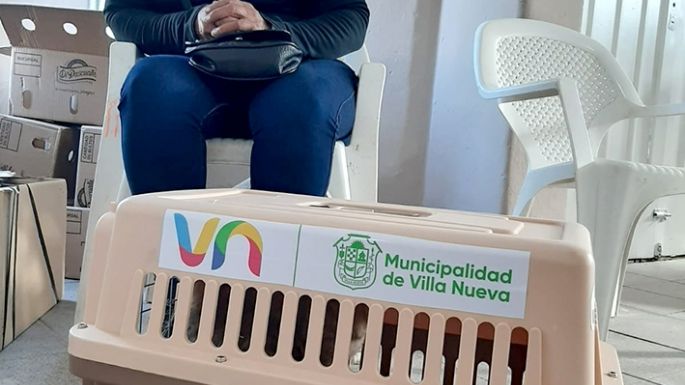 Veterinarios se suman a la polémica