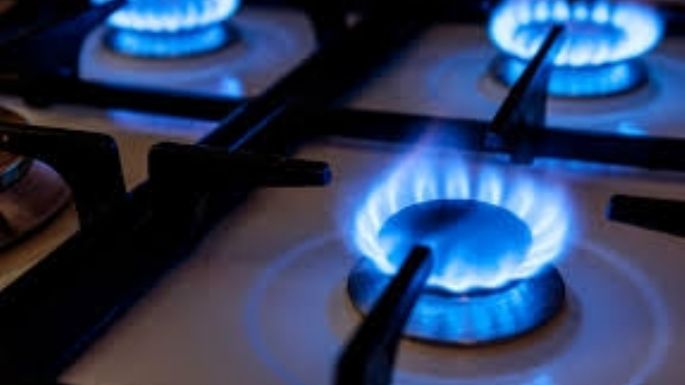 "No va a faltar gas en invierno", aseveró la vocera presidencial
