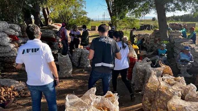 La AFIP detectó explotación laboral en campos de papa