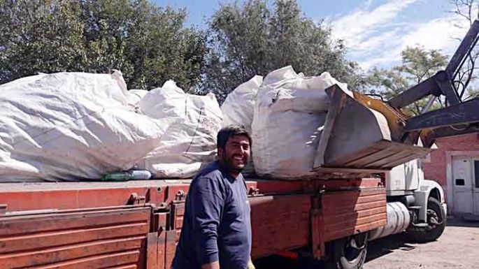 Se recolectaron 780 kilos de botellas para destinar a reciclado
