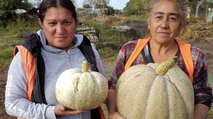 Gran labor en la huerta municipal