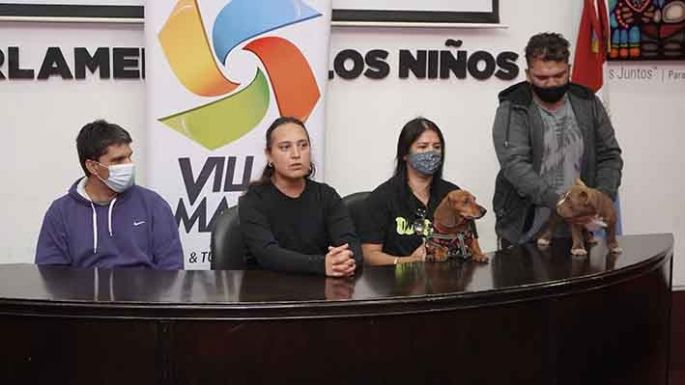 Proponen “Un maravilloso día de perros”