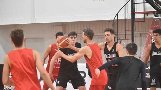 Ameghino busca definir su serie