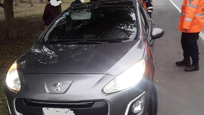 Dos detenidos acusados de robar en autos estacionados