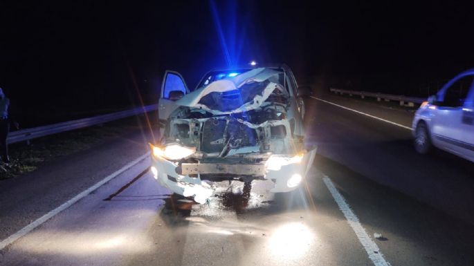 Una chata chocó contra un novillo en la ruta: el animal murió y sólo hubo daños materiales