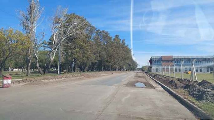 El Parque Pereira ya tiene toda la caminería, ciclovía y mobiliario
