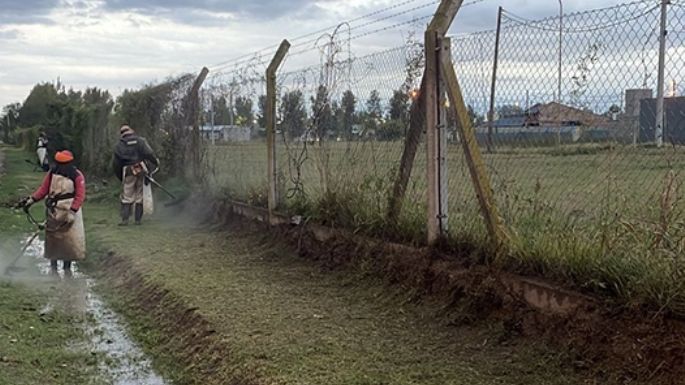 Limpieza en espacios verdes