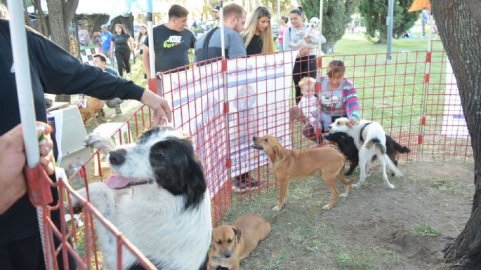 Villa María vivió un Maravilloso Día de Perros