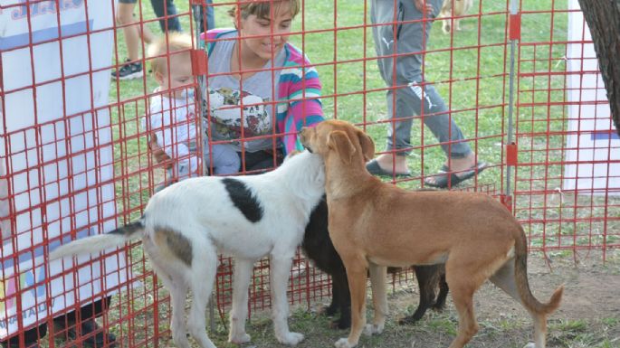 Villa María vivió un Maravilloso Día de Perros