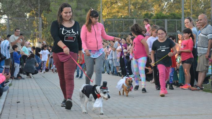 Villa María vivió un Maravilloso Día de Perros