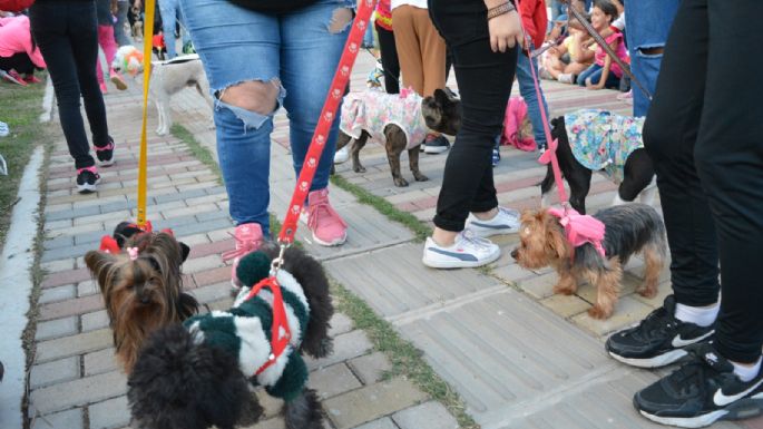 Villa María vivió un Maravilloso Día de Perros
