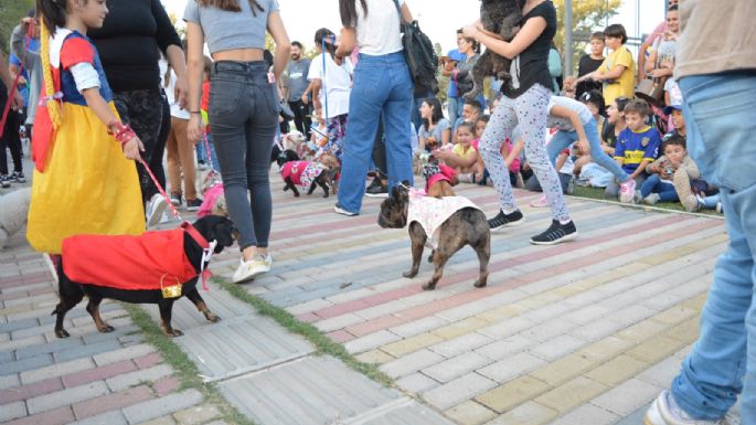 Villa María vivió un Maravilloso Día de Perros