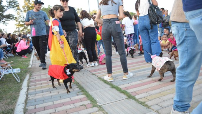 Villa María vivió un Maravilloso Día de Perros