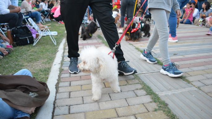 Villa María vivió un Maravilloso Día de Perros