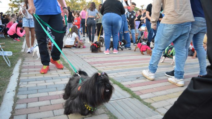 Villa María vivió un Maravilloso Día de Perros