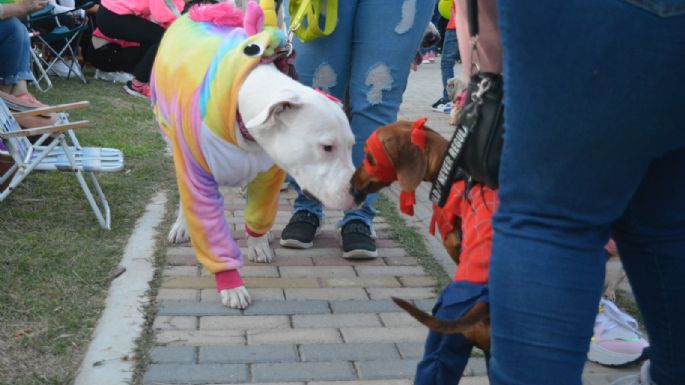 Villa María vivió un Maravilloso Día de Perros