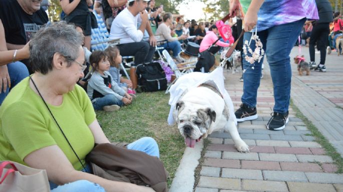 Villa María vivió un Maravilloso Día de Perros