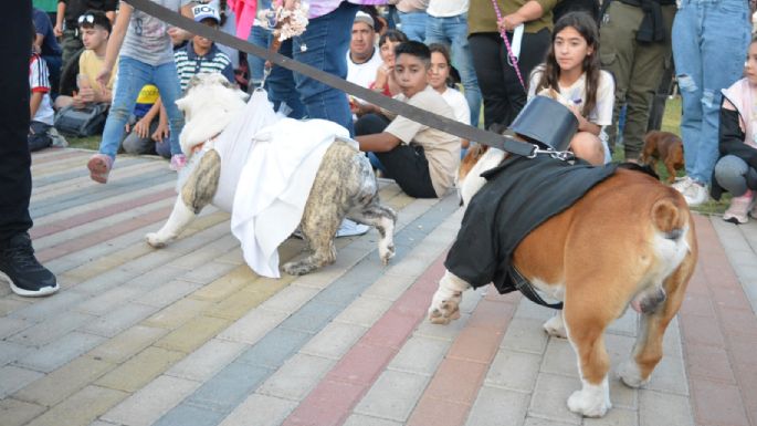 Villa María vivió un Maravilloso Día de Perros