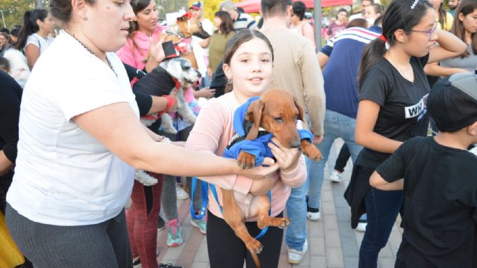 Villa María vivió un Maravilloso Día de Perros
